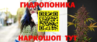 хмурый Малгобек